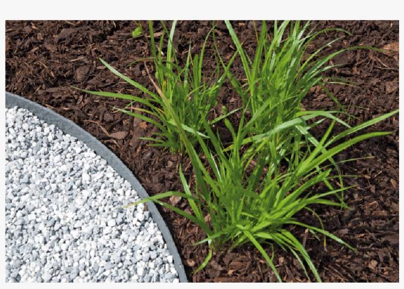 Oase Pondedge Teichrand 25 M, transparent png download