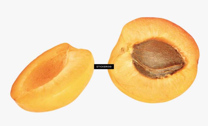 Apricot - Avocado, transparent png download