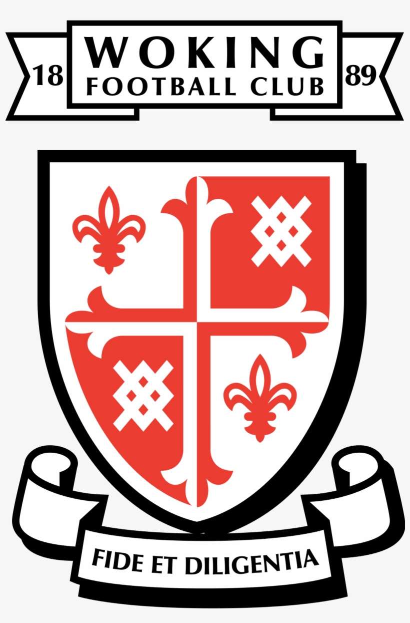 Woking Woking Borough Council Logo PNG Image Transparent PNG Free