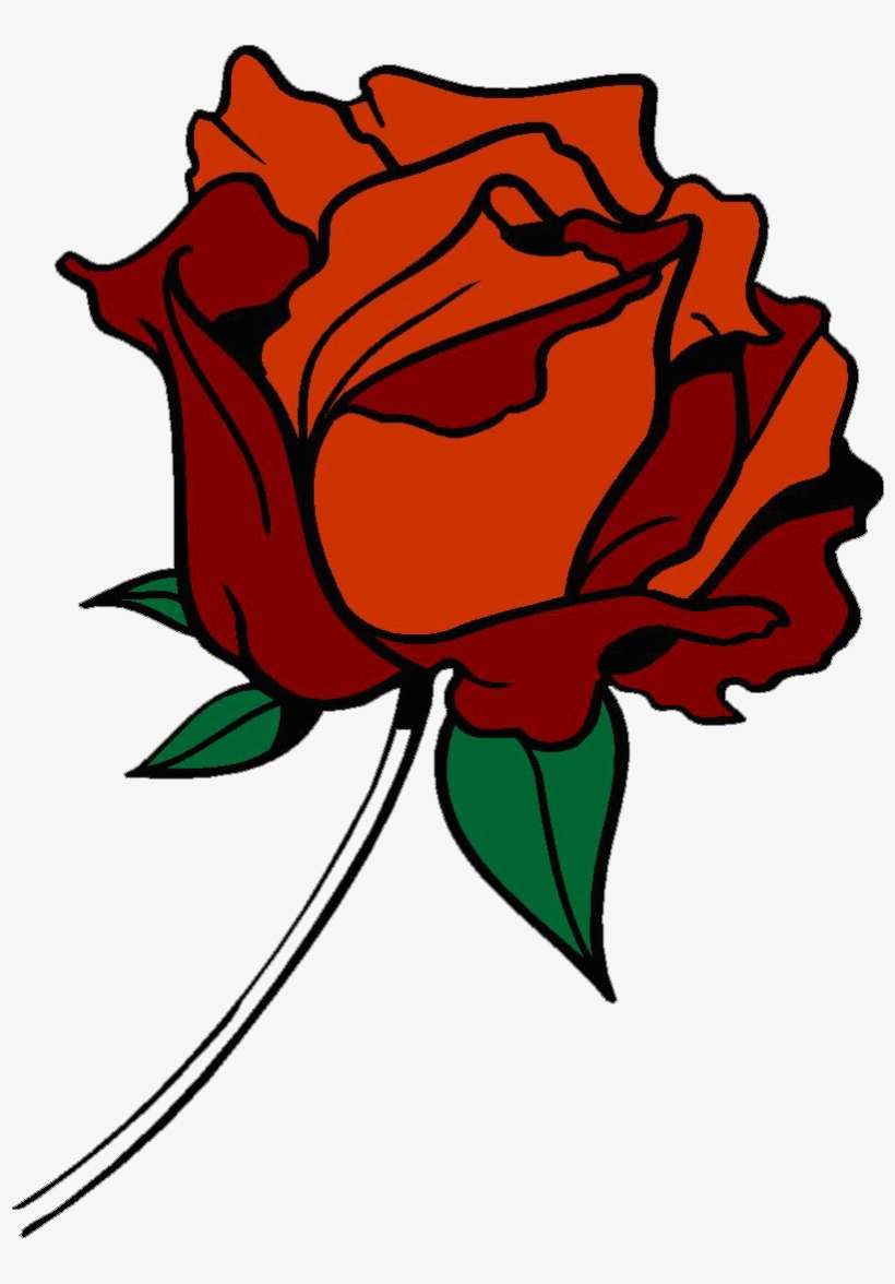 Rose Huge - Red Rose, transparent png download