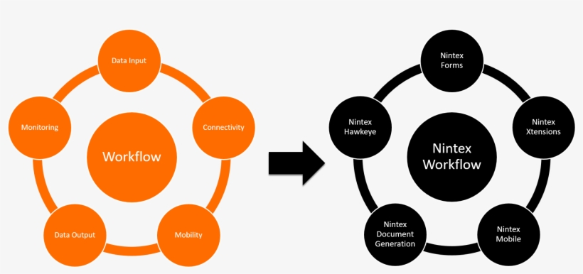 Workflow Design Vs Workflow Solution - Travel Insurance Market Report, transparent png download