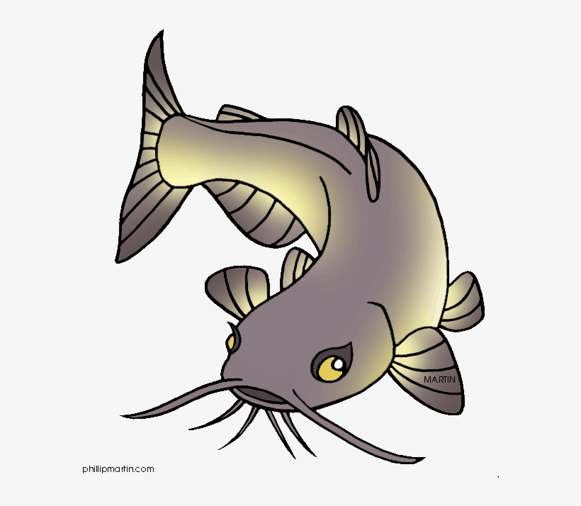 Cartoon Picture Of Catfish, transparent png download
