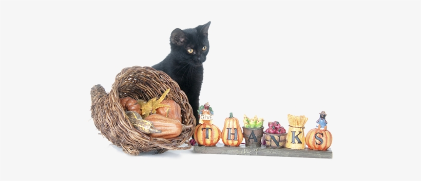 Give-thanks - Thanksgiving Images Cats Cartoon, transparent png download