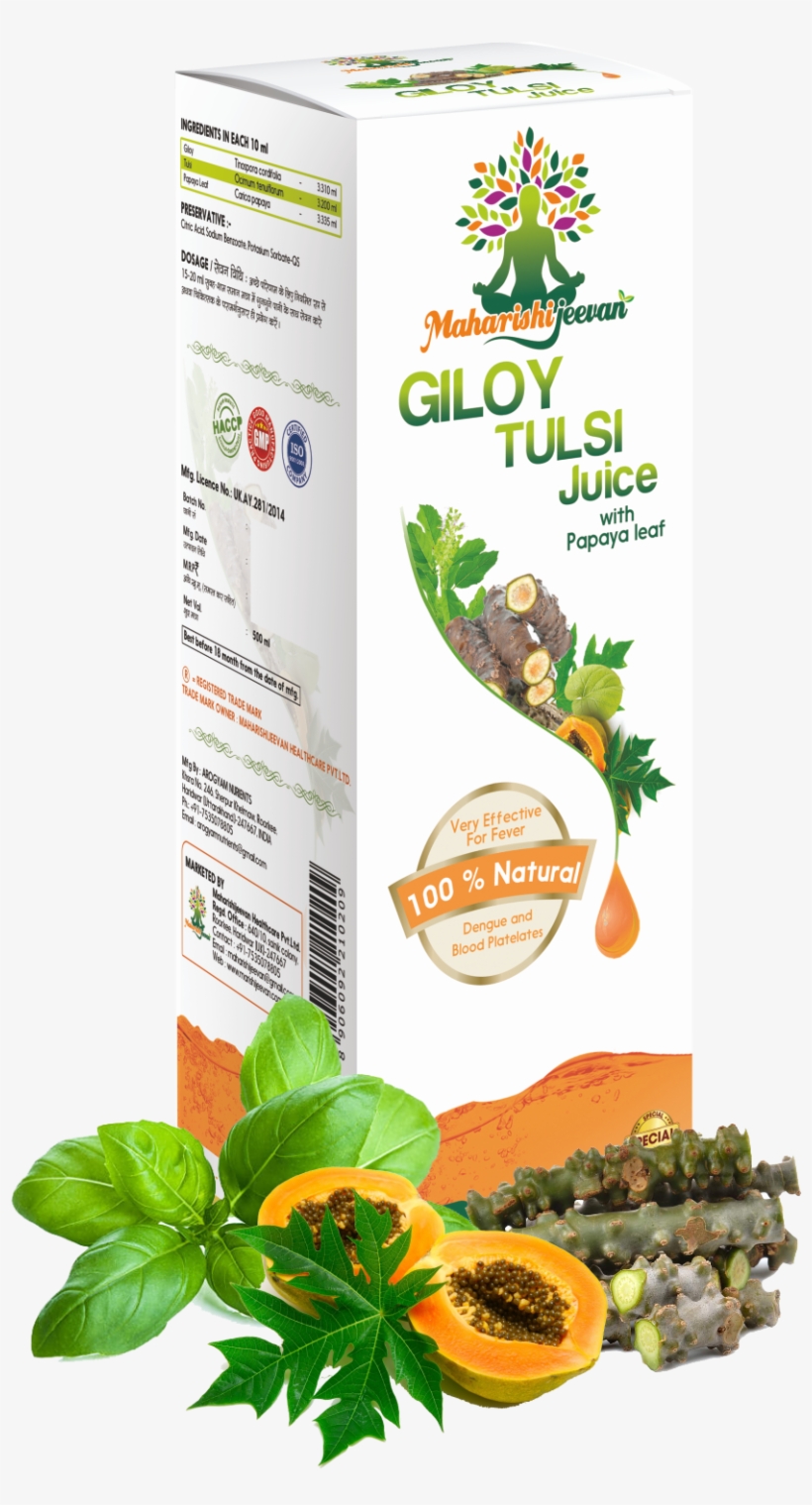 Giloy Tulsi Juice 500ml - Sweet Basil - Ocimum Basilicum- The Essential Oil, transparent png download