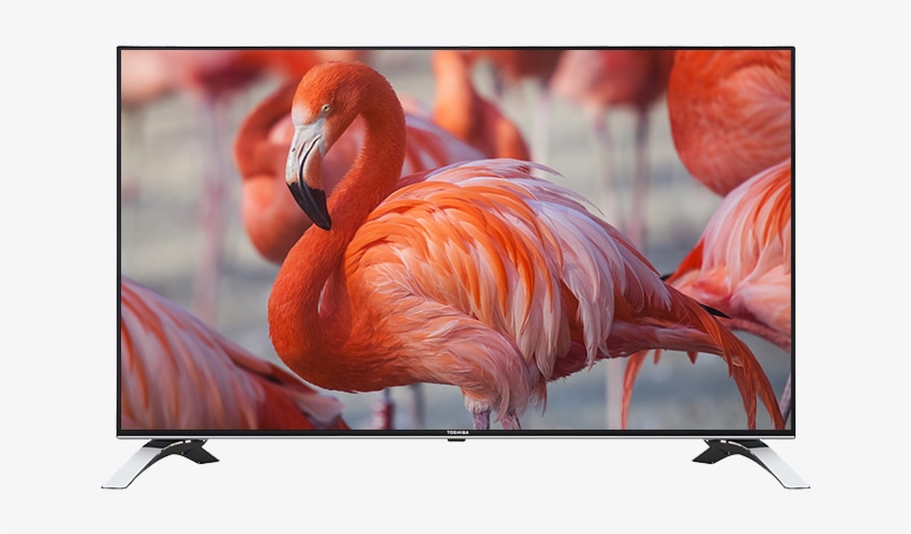 55" Toshiba Ultra Hd Wlan Tv Front - Toshiba 55u6663, transparent png download