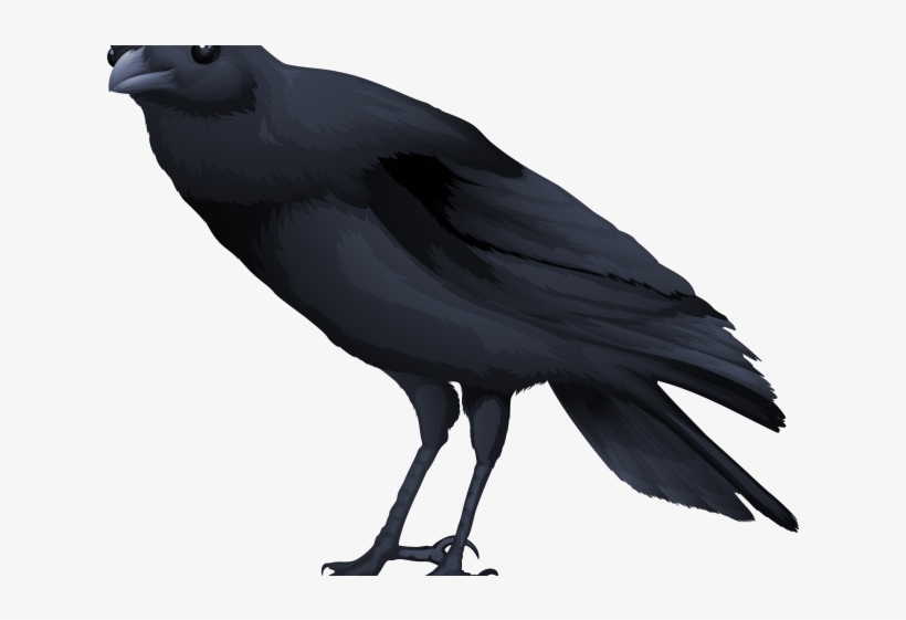 Blackbird Clipart Koyal - Common Blackbird, transparent png download