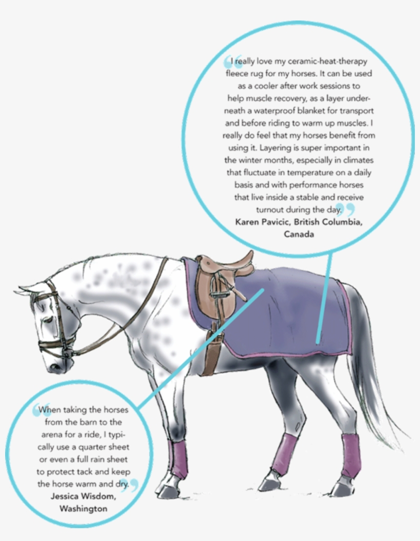 Dt 04 Horse Rider Winter Gear - Illustration, transparent png download