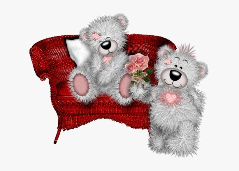 اجمل صور الدببة, transparent png download