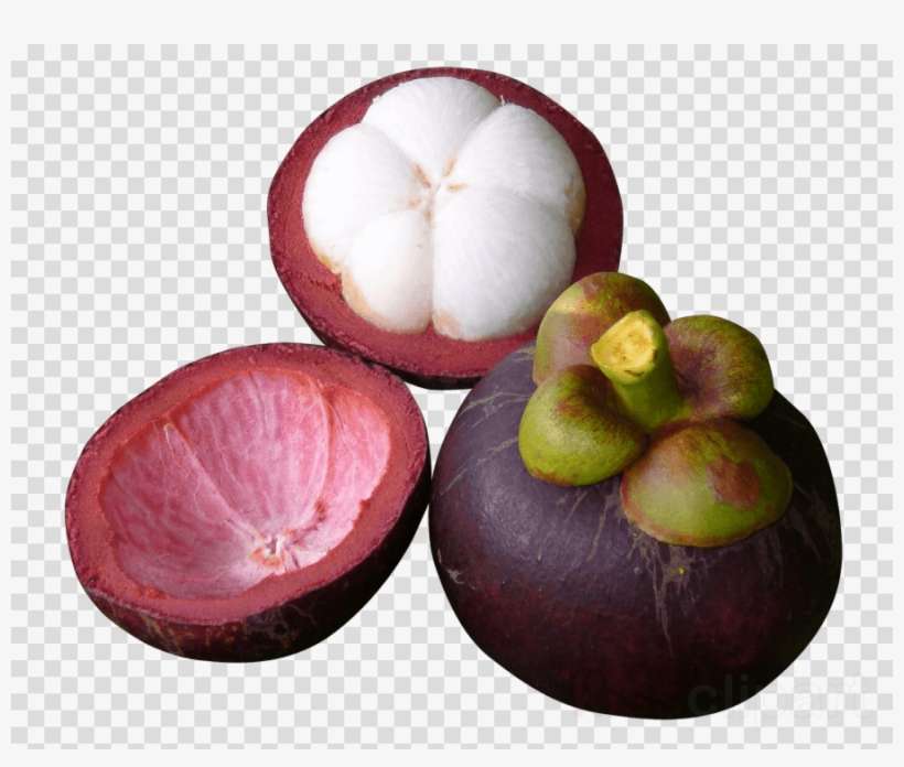 Download Mangosteen Png Clipart Mangosteens Clip Art - Purple Mangosteen Png, transparent png download