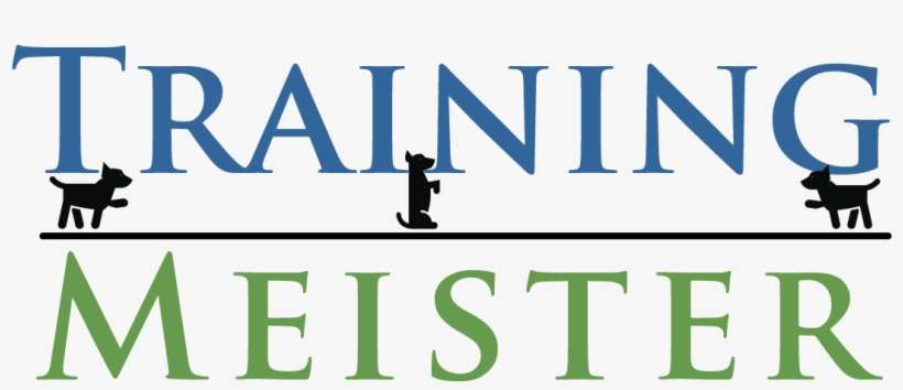 Training Meister Mastering Fun And Increasing Your - Graycliff Private Equity Logo, transparent png download