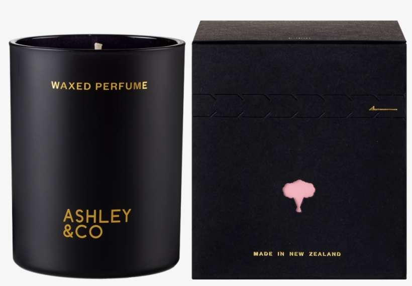 Blossom And Gilt Pic V=1513227464 - Parakeets And Pearls Waxed Candle, transparent png download