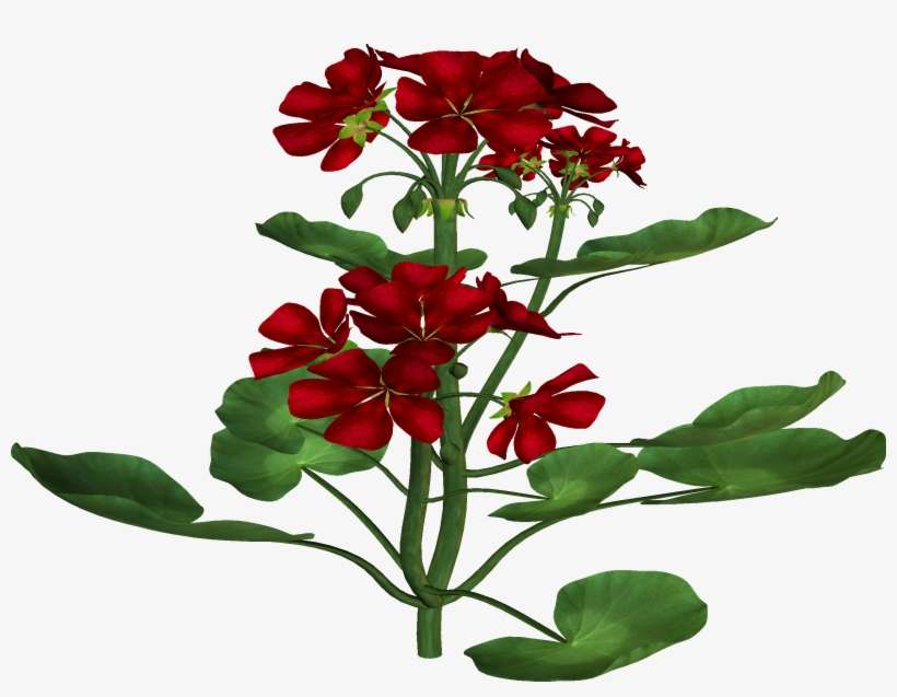 Flower Tree Clipart Png - Png Image Flowers Tree, transparent png download