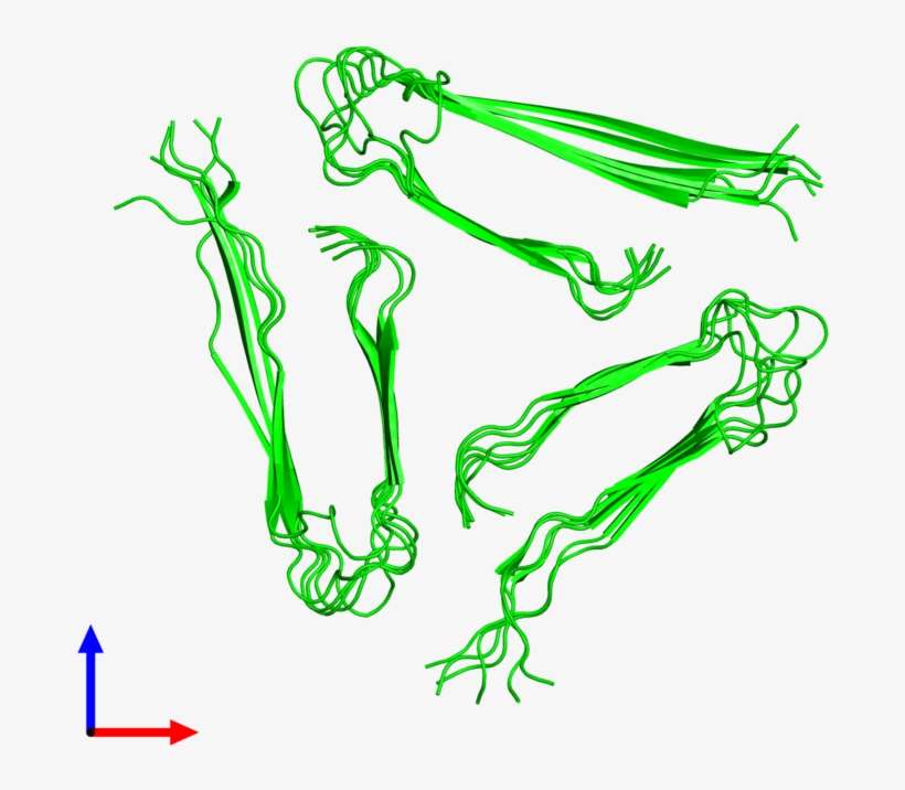 18-meric Assembly 1 Of Pdb Entry 2lmq Coloured By Chemically - Illustration, transparent png download