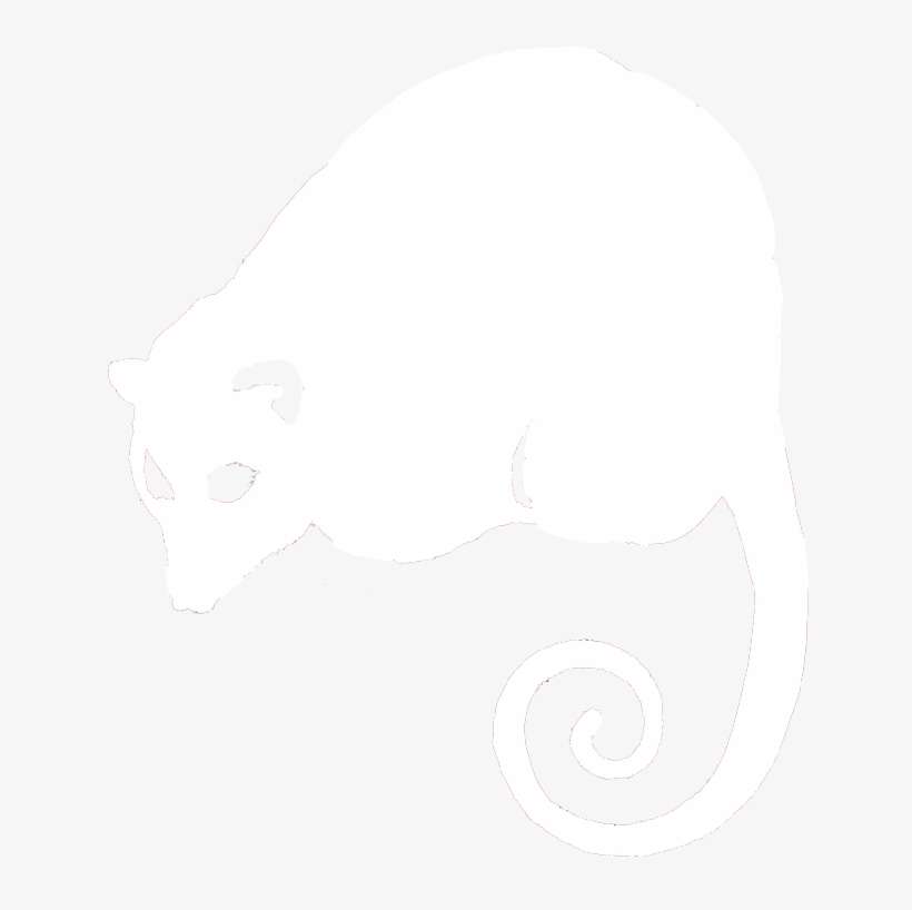 Surveyopossum - Uvex, transparent png download