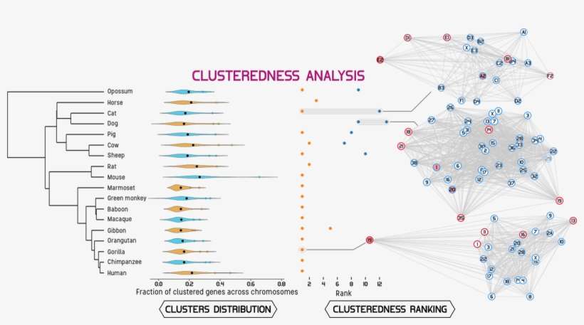 0 Replies 0 Retweets 1 Like - Diagram, transparent png download