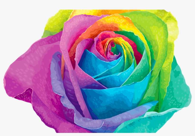 Pin By Carol Marie Littlejohn On Photo Roll Pinterest - Rainbow Rose Vector, transparent png download
