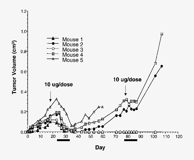 In An Additional Animal Experiment, Groups Of Mice - Diagram, transparent png download