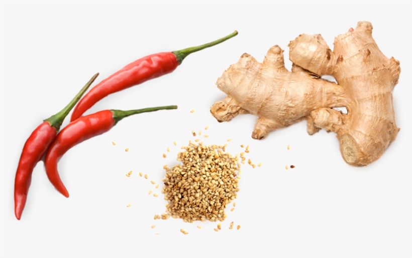 Buy Nowlearn More Savory Wild - Ginger Isolated, transparent png download