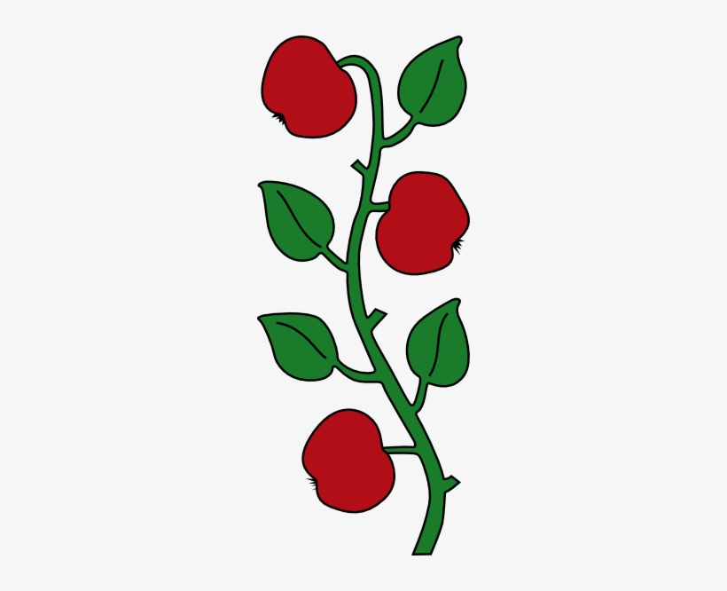 Apple Tree Branch Clipart Png Image Transparent Png Free Download On Seekpng