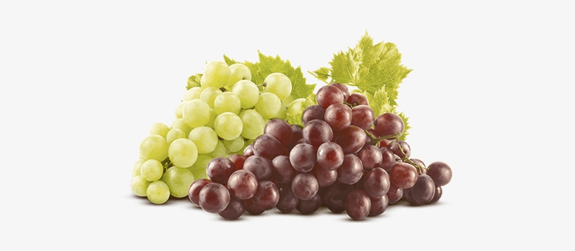 Veja Onde Comprar - Grapeseed Oil From Majestic Pure, 100% Pure &amp;, transparent png download