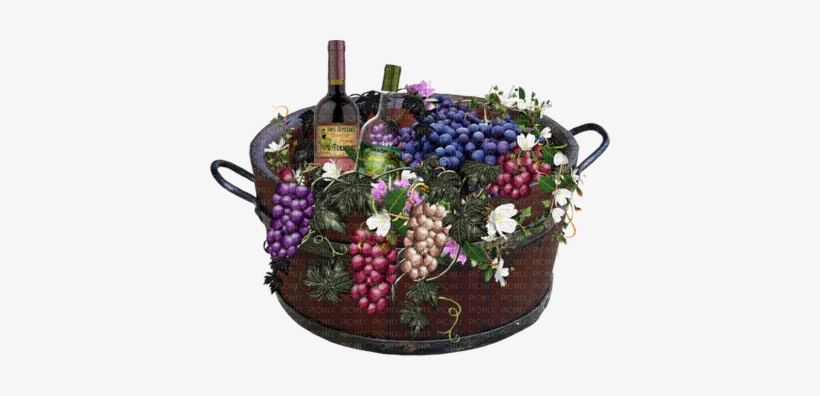 Vinos Y Uvas - Grapes, transparent png download