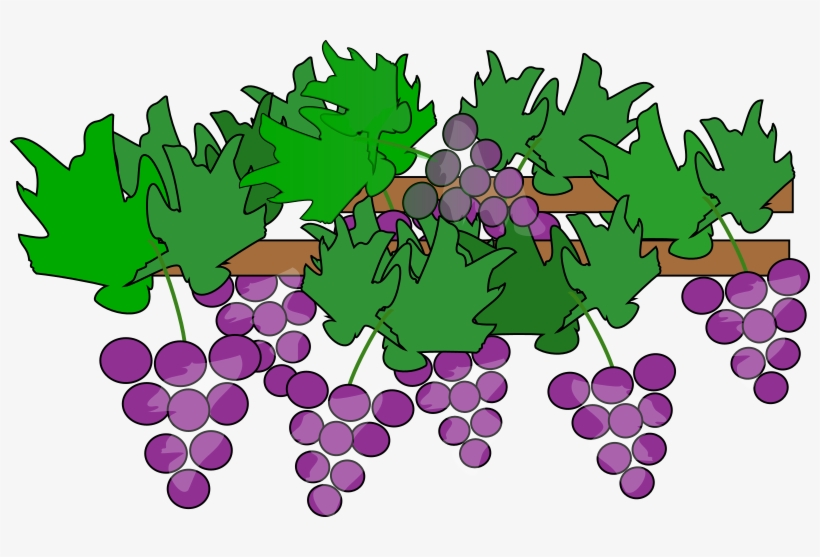 Medium Image - Grapes Clipart, transparent png download