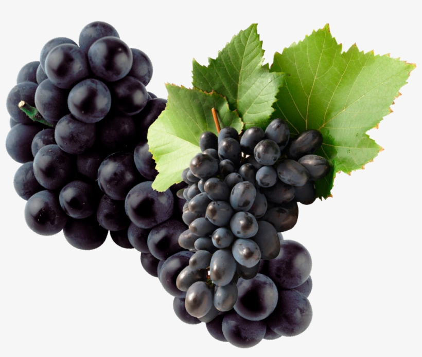 A Cold Breeze From The Pacific Ocean Causes This Phenomenon - Purgenics Resveratrol - 1200mg Maximum Strength - Antioxidant, transparent png download