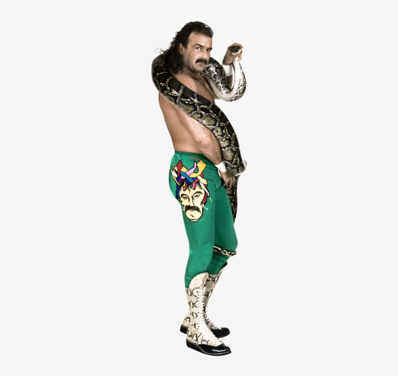 Career Highlights - Wwe Jake The Snake Roberts, transparent png download