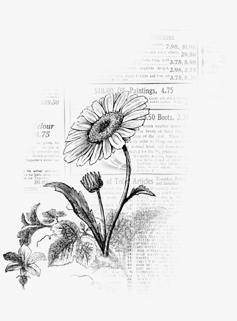 This Is A Combination Of A Stamp From My New Flower - Sketch, transparent png download