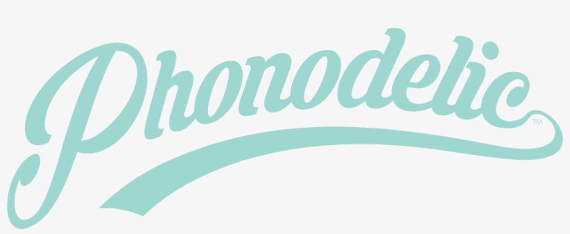 Are You Ready For Vinyl - Jazz, transparent png download