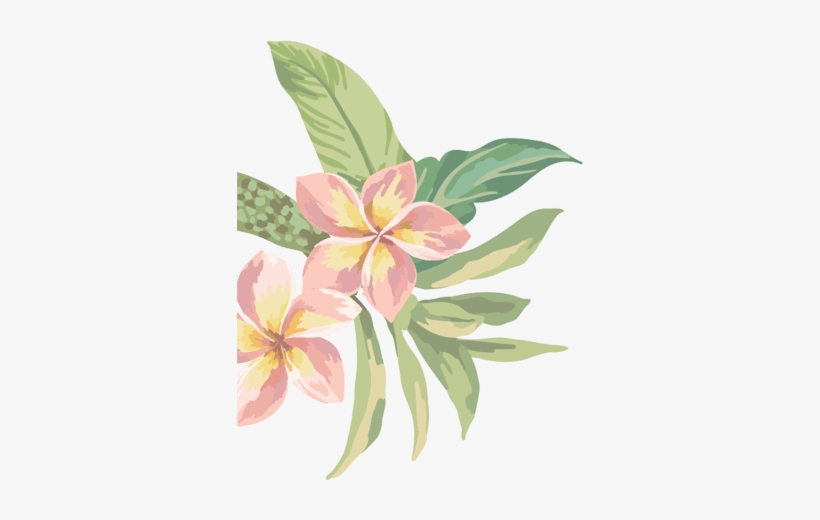 Flower - Colorful Exotic Flowers Throw Blanket, transparent png download