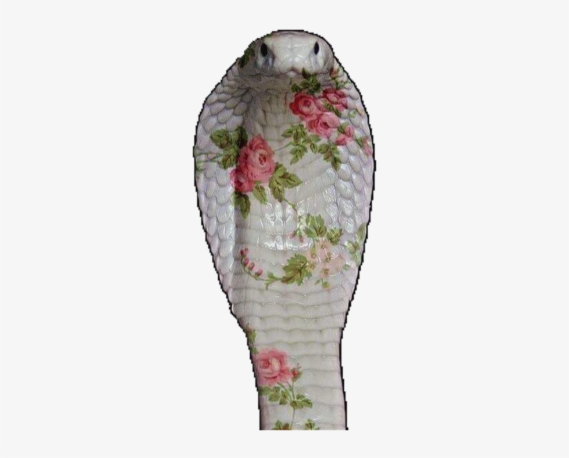 Transparent Not Image Just Edit Png Overlay Flowers - Vase, transparent png download