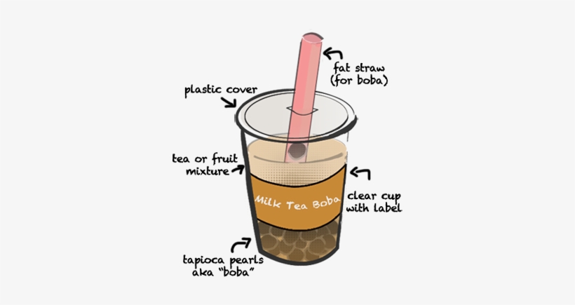 Photo Source - Anatomy Of Bubble Tea, transparent png download