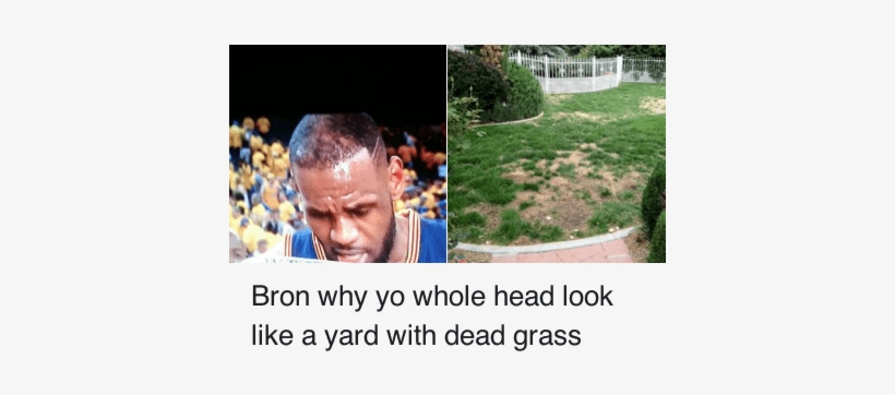 Haircut - Lebron James Grass Meme, transparent png download
