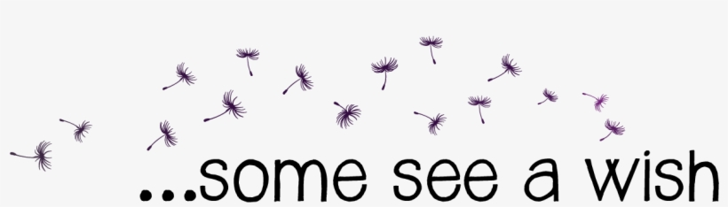 People Often Make A Wish When They Blow Dandelion Seeds, - Transparent Dandelion Seed Png, transparent png download