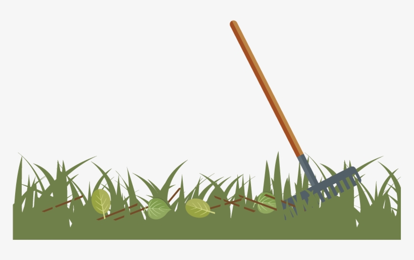 Remove Any Twigs And Leaves That Have Accumulated Over - Aloe, transparent png download