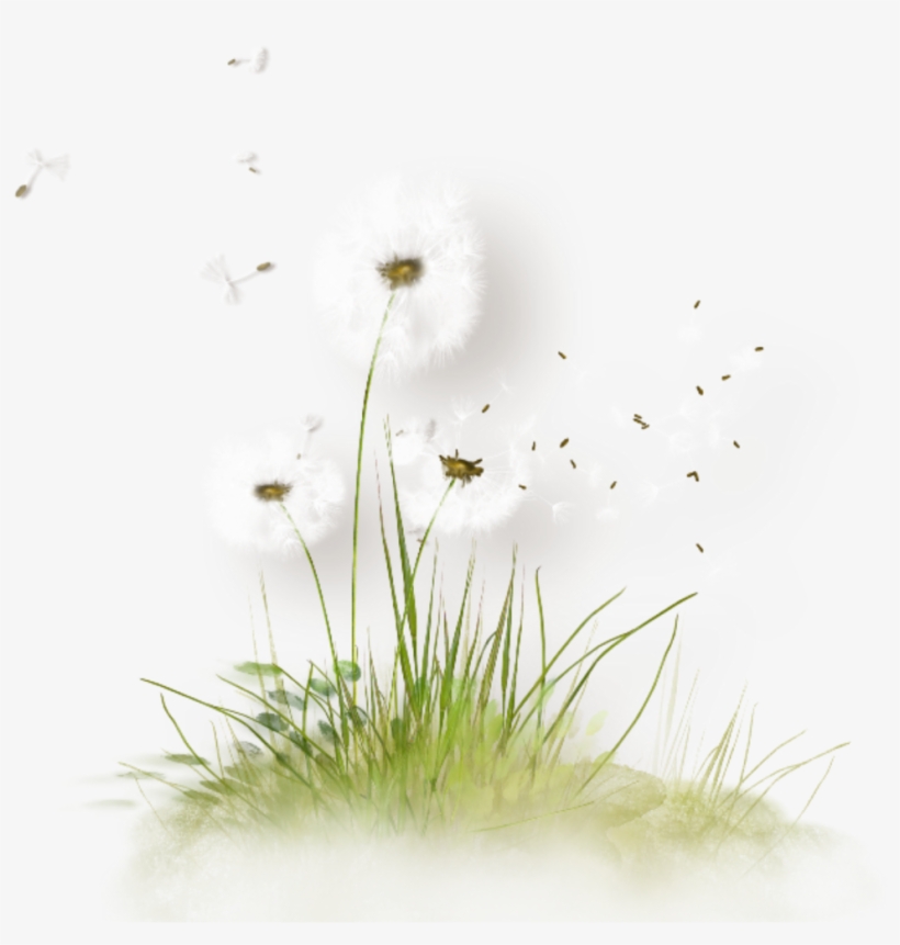 Dandelion Seeds Blowing Freetoedit - Green, transparent png download