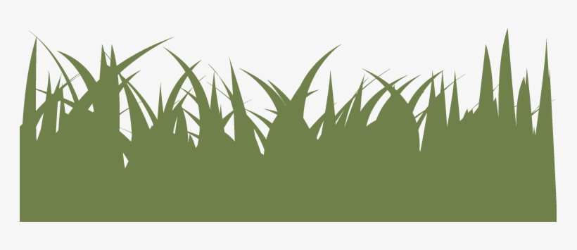 Normal Lawn - Illustration, transparent png download