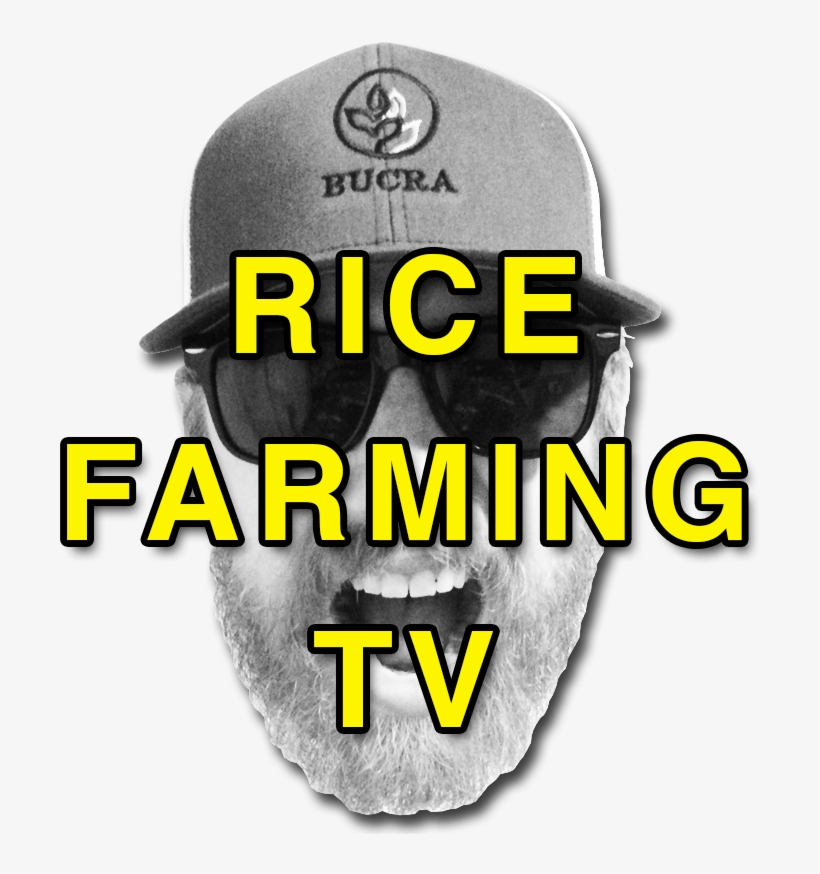Future Of Agriculture - Graphic Design, transparent png download