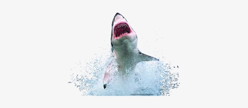 Report Abuse - Shark Leaping From Water, transparent png download