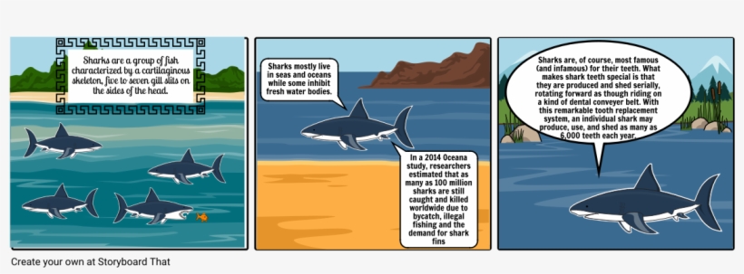 Shark - Cartoon, transparent png download