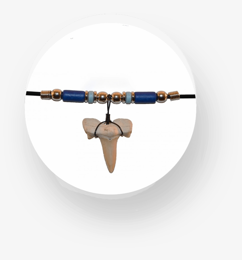 The Shark Tooth Guys - Jack O'lantern Halloween, transparent png download