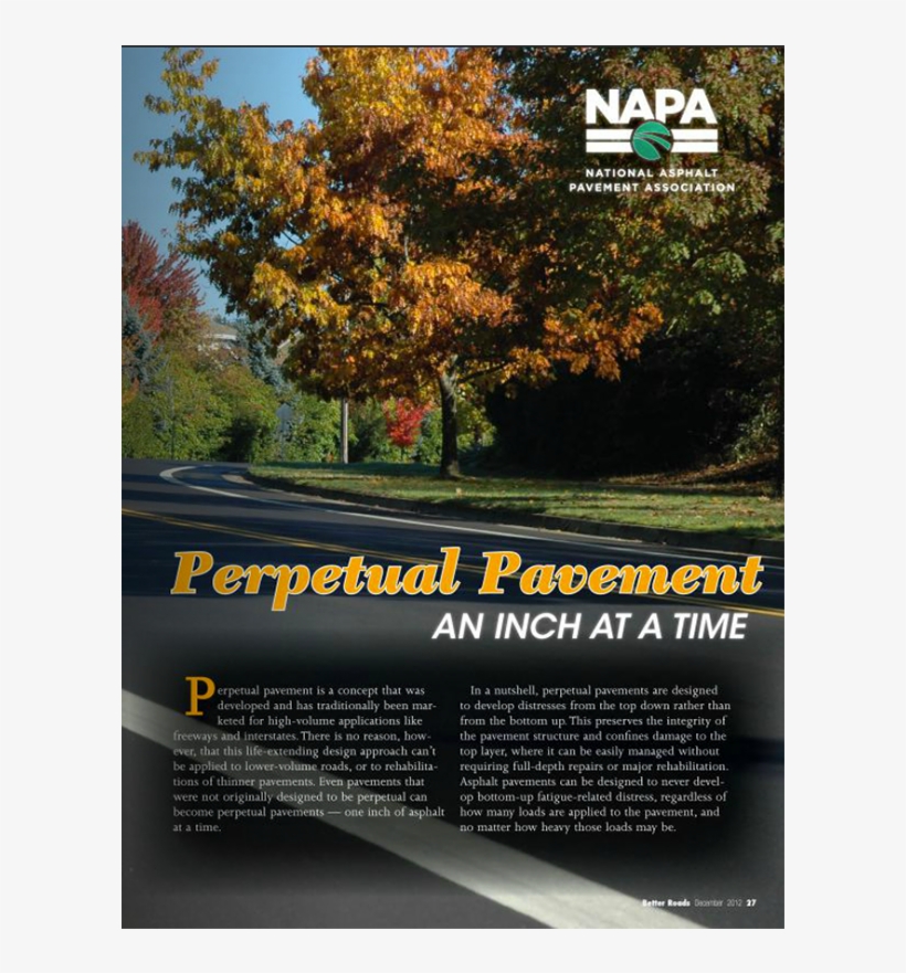 On The Blog - Tree, transparent png download