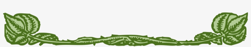 Decorations, Horizontal, Plants, Leaf, Border - Decoracion Plantas Png, transparent png download