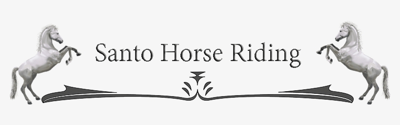 Horizontal Lines Writing Official - White Horse Elected Pose Round Ornament, transparent png download