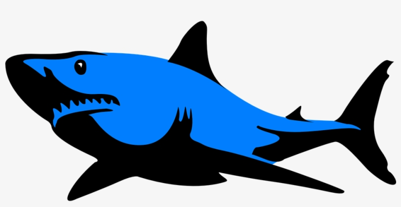 Collection Of Free Fripperer Clipart Shark Fin - Black And White Shark Clipart, transparent png download