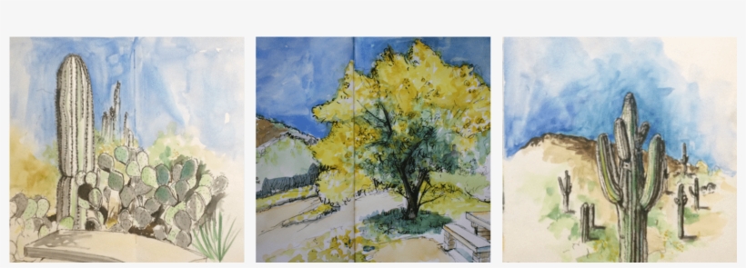 18 Jul 834ff-watercolorcollage - American Aspen, transparent png download