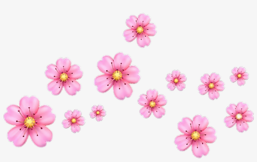Cherry Blossom Emoji Png, transparent png download