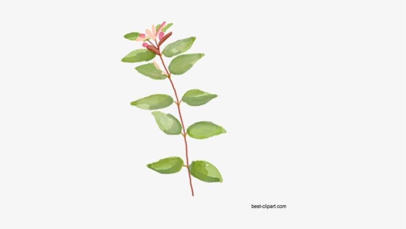 Watercolor Branch With A Flower Clip Art - Watercolor Painting, transparent png download