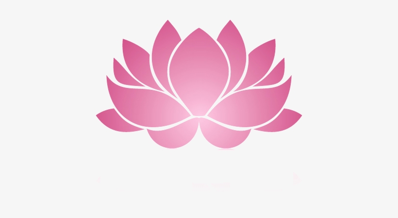 Nguyễn Lê Bá Khương - Lotus Flower Transparent, transparent png download